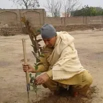 Green Seekers Activity